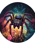 Colorful artistic spider illustration with mystical neon elements and geometric patterns on dark background, featuring vibrant rainbow colors and abstract light effects.