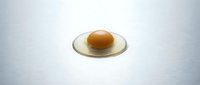 Fresh raw egg with bright orange yolk and clear white on clean surface for cooking and baking recipes.
