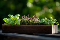 Fresh basil and oregano herbs growing in wooden planter box on outdoor table with natural green bokeh background for cooking and gardening concepts.
