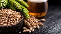 Fresh raw barley grains in wooden bowl with green hop cones and glass of craft beer on dark stone background, brewing ingredients macro shot.