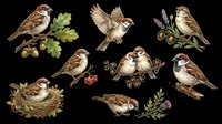 Sparrows and finches isolated on transparent background, ready for t-shirt designs, clipart, stickers, sublimation, print-on-demand products and digital crafts.