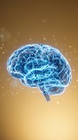 Digital brain with glowing neural networks and circuit patterns on golden background with floating particles for technology and AI concepts.