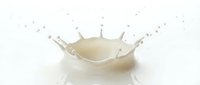 Milk splash crown with droplets on white background isolated for dairy product advertising and beverage design concepts.