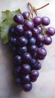 Fresh cluster of ripe purple grapes with green leaf on light background, water drops on berries surface create appetizing look. For food packaging and wine labels.