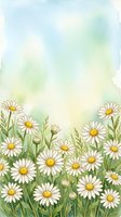 Watercolor daisy field with soft blue and green sky, white chamomile flowers in bloom, gentle spring meadow art with copy space for cards.
