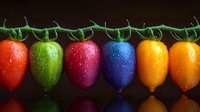 Fresh colorful mini bell peppers with water drops in rainbow colors red, green, pink, blue, and yellow arranged in line with reflection on dark background.