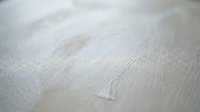 White painted wood surface with visible brush strokes and texture, close-up macro photography showing artistic paint application and natural grain patterns.