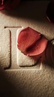 Rose petal with water drops resting on embossed letter L carved in beige textured surface, warm moody lighting, romantic love concept.