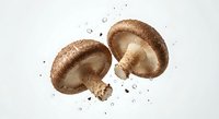 Fresh shiitake mushrooms with water droplets on clean white background, organic healthy food ingredient for cooking and culinary preparations.