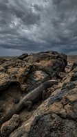 Dramatic storm clouds loom over a barren desert landscape with weathered boulders and rocky terrain, conveying themes of nature's power and desolation for environmental and travel content.