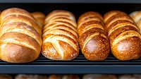 Fresh baked artisanal bread loaves and rolls with golden brown crust arranged in rows on cooling rack, showing variety of traditional European style breads.