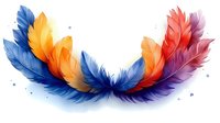 Vibrant feathers in blue, orange, red and purple form a graceful arc with delicate watercolor splashes, isolated on white background for creative design projects.