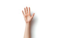 Female hand raised in greeting gesture against white background, showing palm and fingers in natural position, isolated on clean backdrop for easy integration.