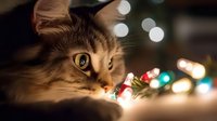 Adorable tabby cat lying with colorful Christmas lights creating warm festive atmosphere for holiday greeting cards and seasonal decorations.