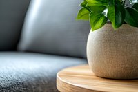 Minimalist home decor with green plant in textured ceramic pot on wooden tray against gray sofa background, creating serene living space atmosphere.