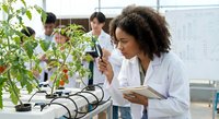 Young African American female scientist examining tomato plants with magnifying glass in modern laboratory greenhouse for agricultural research and development.
