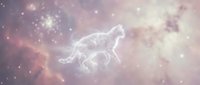 Mystical wolf constellation glowing in cosmic nebula with sparkling stars and ethereal light effects creating magical celestial atmosphere.