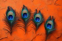 Vibrant peacock feathers arranged in row against textured orange wall background create striking contrast of natural iridescent blues and greens with warm terracotta surface.
