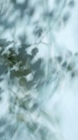 Soft sage green tie-dye fabric texture with abstract blurred botanical shadow overlay, creating a dreamy, muted aesthetic for modern design backgrounds.