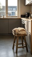 Fluffy ginger tabby cat curled up sleeping on wooden bar stool in modern kitchen with large windows, dark cabinetry and stainless steel appliances.