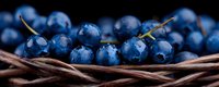 Fresh ripe blueberries with water drops in rustic woven basket against black background, macro food photography showing texture and details.