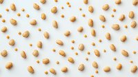 Fresh soybeans scattered on white background in random pattern, organic healthy protein source, isolated legumes for food and agriculture concepts.