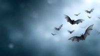 Flock of bats flying through dramatic stormy sky with dark clouds and moonlight for Halloween horror themes and spooky atmospheric designs.