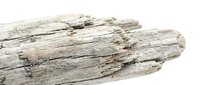 Weathered driftwood log isolated on white background, ready for design projects, home decor mockups, and craft applications.