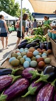 Vibrant farmers market display featuring fresh purple eggplants, colorful heirloom tomatoes and leafy greens with shoppers browsing outdoor produce stands.