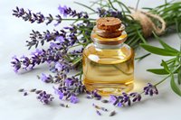 Lavender essential oil in glass bottle with cork stopper surrounded by fresh purple lavender flowers and green stems on white background, suitable for aromatherapy, wellness and beauty product marketing.