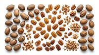 Assorted nuts including pecans, walnuts, and almonds arranged on white background, isolated for culinary, nutritional, and design projects.