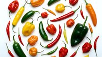 Colorful assortment of fresh hot and sweet peppers arranged on white background, showcasing variety of shapes, sizes, and vibrant colors.