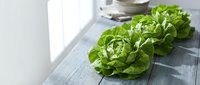 Fresh green lettuce heads arranged on rustic wooden kitchen counter with natural lighting for healthy cooking and meal preparation.