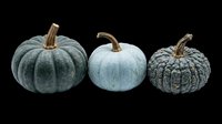 Three decorative gourds in blue and gray tones, isolated on transparent background. Ready for autumn designs, fall crafts, t-shirt graphics, stickers, sublimation projects, and print-on-demand products.