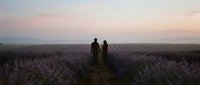 Three people standing in expansive lavender field at sunset, wearing dark clothing, surrounded by purple flowering plants stretching to horizon. Suitable for travel, nature, and lifestyle editorial use.