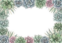 Watercolor succulent plants and fern leaves arranged in a decorative border frame on white background, isolated and ready for invitations, cards, and design projects.
