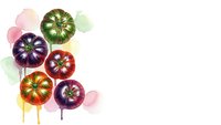 Colorful heirloom tomatoes with watercolor splashes on white background, fresh organic vegetables for healthy cooking and farm-to-table cuisine concepts.