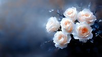 Delicate peach roses bloom against dramatic dark background, soft petals glowing with ethereal light creating romantic mood for wedding and celebration designs.