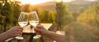 Couple toasting with white wine glasses at sunset in vineyard landscape during golden hour romantic celebration.