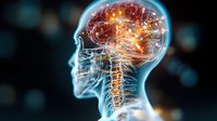 Glowing human brain and nervous system visualization showing neural activity and spine connection in transparent head profile on dark background.
