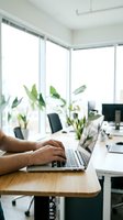 Professional working on laptop in bright modern office with plants and natural light for productivity and business concepts.