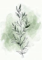 Delicate botanical line drawing of olive branch with leaves on soft sage green watercolor background, minimalist nature artwork for wall decor and stationery design.