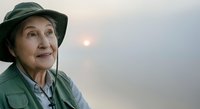 Senior woman wearing green hat and jacket gazes thoughtfully at sunset sky. Elderly female with fair complexion and gentle expression represents aging, wisdom, contemplation, and peaceful retirement lifestyle for editorial and lifestyle projects.