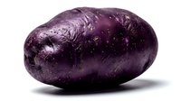 Purple potato with textured skin and natural dimples, isolated on white background for culinary, food styling, nutrition, and ingredient photography use.