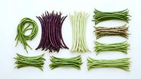 Long green beans and purple string beans arranged in organized bundles on white background, suitable for cooking, nutrition, and food styling projects.