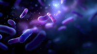Glowing purple bacteria floating in dark space with blue light effects, microscopic view of probiotic microorganisms in scientific visualization for medical research.