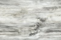 Weathered gray wood grain texture with natural distressed pattern and swirling knots creates rustic surface for backgrounds and design elements.