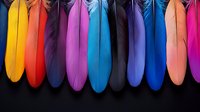 Vibrant multicolored feathers arranged in row against black background showcase spectrum from yellow through pink, creating striking decorative display.