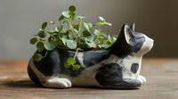 Small ceramic cat planter with green succulent plants growing from its back, creating a decorative home accent on wooden surface.