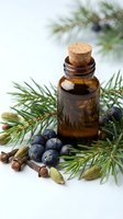 Amber glass bottle with cork stopper surrounded by fresh juniper berries, green pine branches and aromatic spices on white background for natural wellness.
